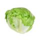 Lettuce Iceburge Spain 1KG Approx Weight