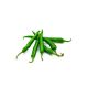 Green hot chilli  India 250gm approx. Weight