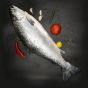 Salmon Norway 1kg 